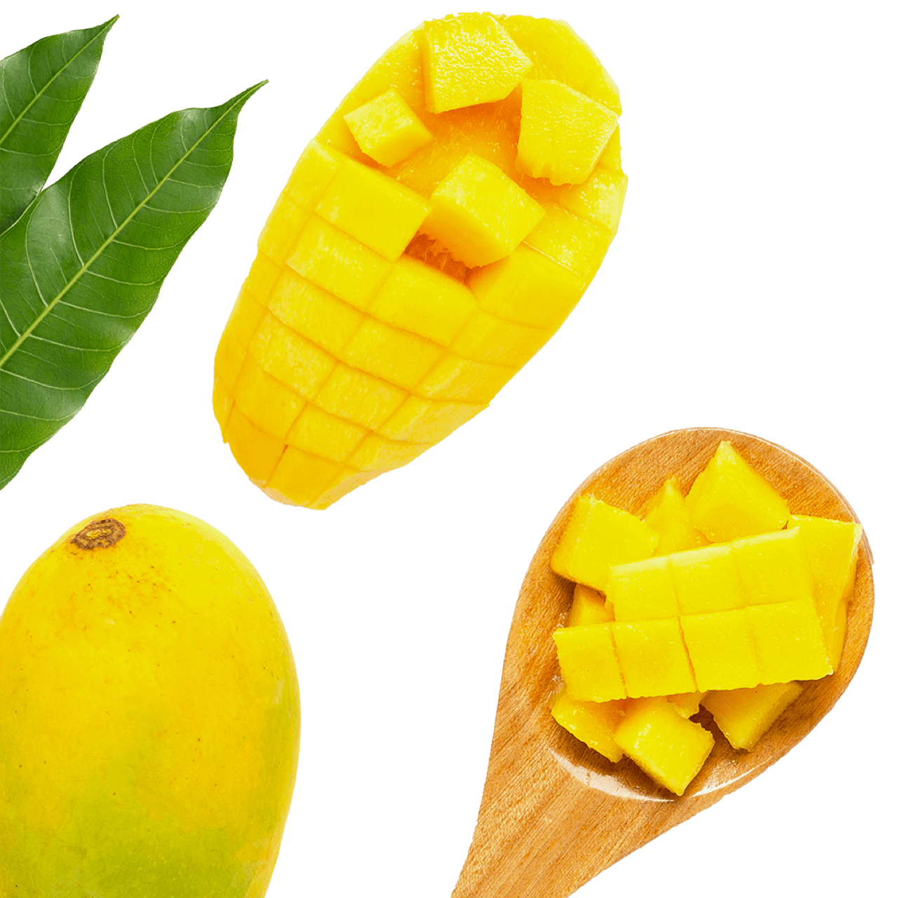Banner mango