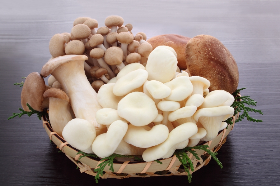5 Thực Phẩm Giàu Vitamin D Giúp Xương Chắc Khỏe - Bí Quyết Vàng Cho Hệ Xương Vững Chãi